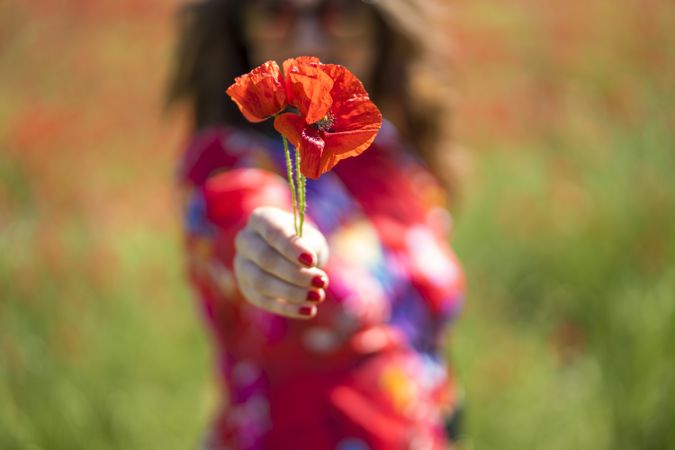 Blurred woman giving flower to camera