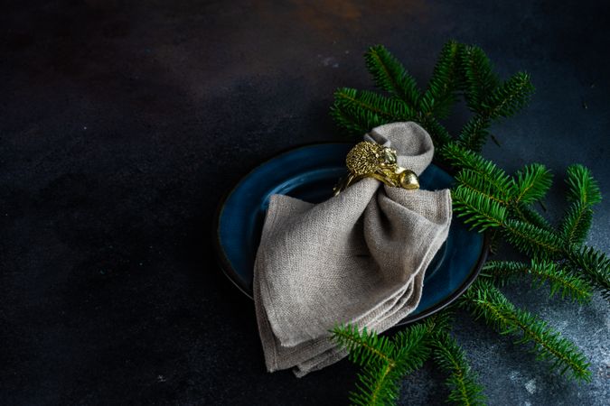 Navy plate with golden napkin ring surrounded by pine branch