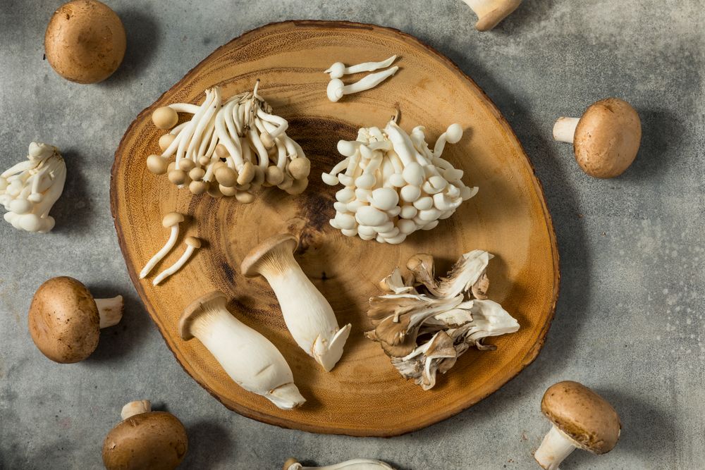 Organic Raw Assorted Gourmet Mushrooms