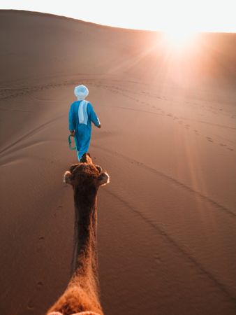 Man walking near camel in desert