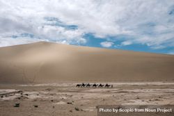 Caravan of camels in desert during daytime bGXx20