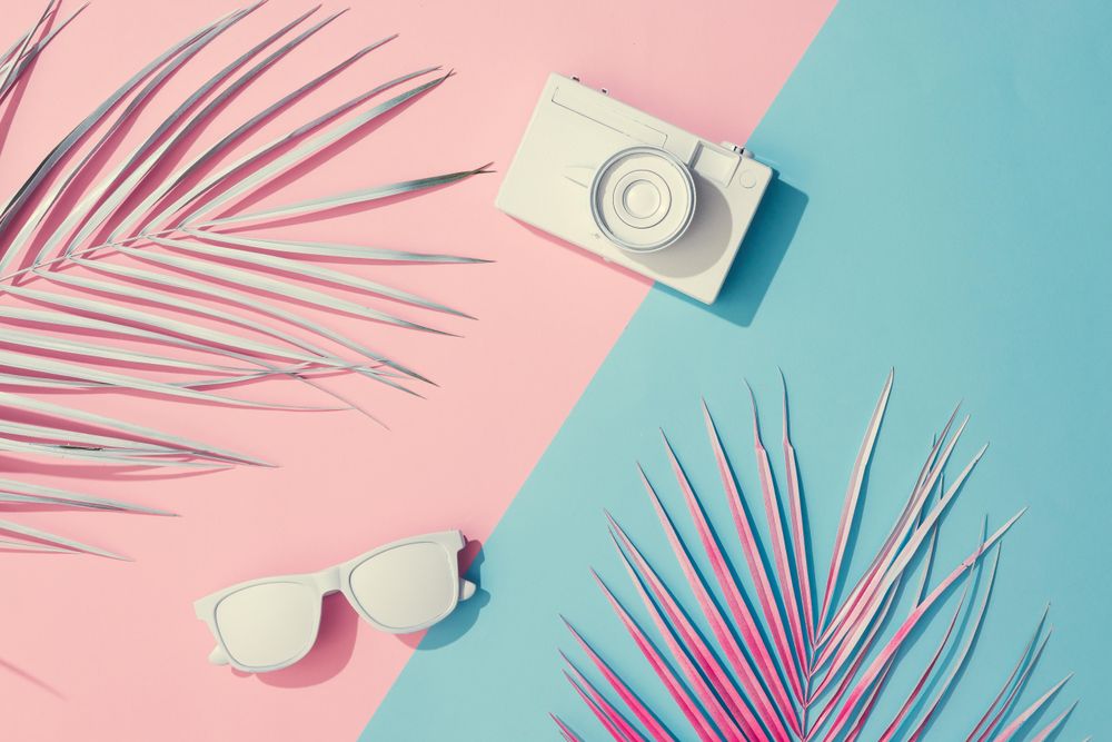 Tropical painted leaves, sunglasses and camera on pink and blue background