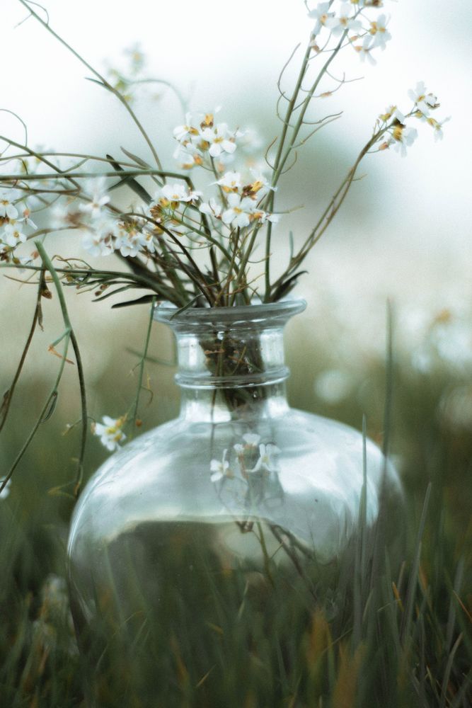 Dead flowers in clear glass vase on glass