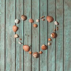 Sea shells arranged in heart shape on blue background