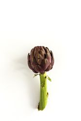 Fresh raw artichokes.
