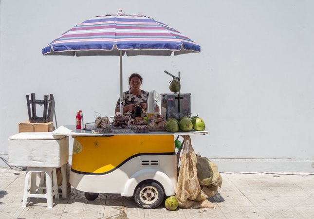 Rio de Janeiro, Brazil - February 13 2014: Woman selling coconuts on street