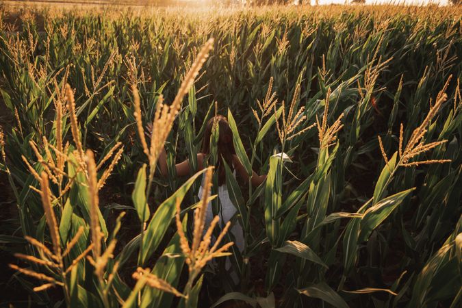 Woman in field ears of wheat on field on sunny day