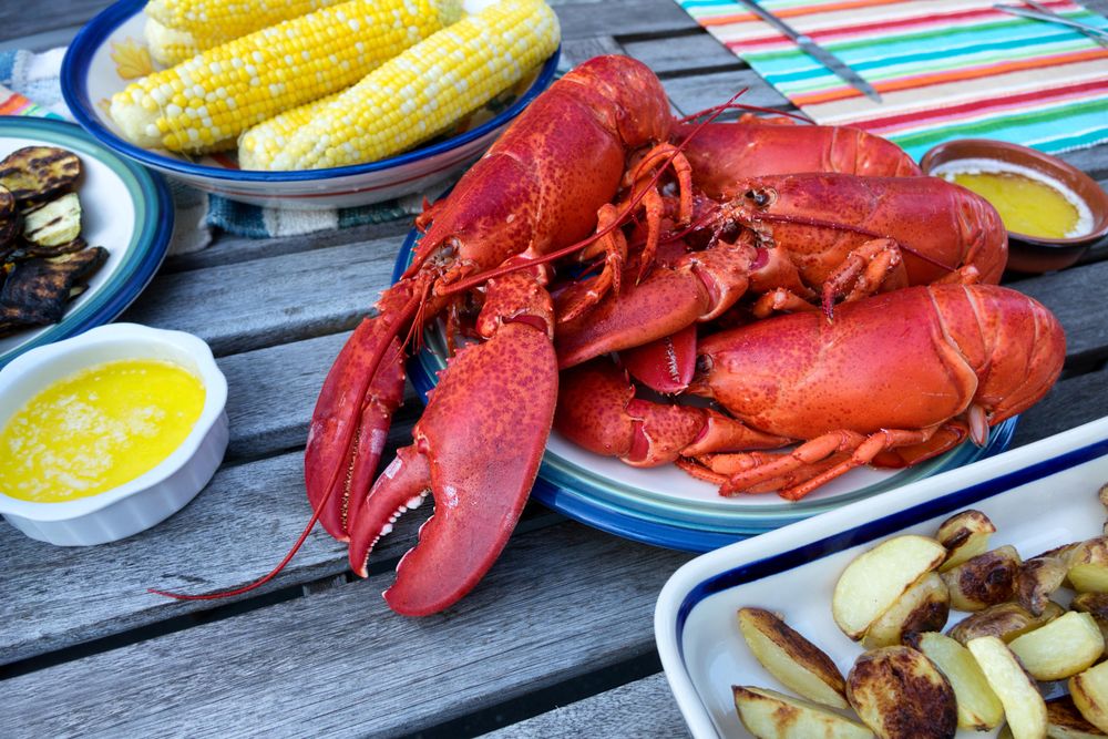 Steamed lobsters ready to server for dinner