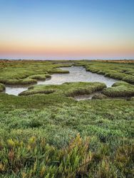 The verdant marshes of the Port de Loix, France