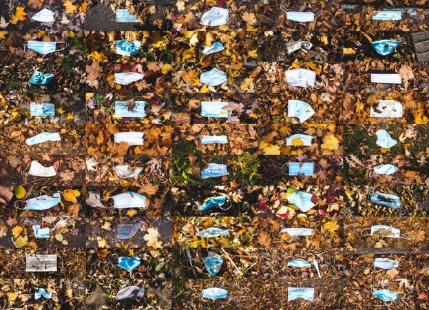 MONTREAL, QUEBEC, CANADA – November 2020: Abandoned and discarded masks on fallen leaves