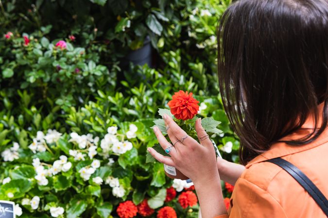Smiling woman choosing potted flower in garden market