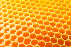 Honeycombs with sweet golden honey on whole background, close up