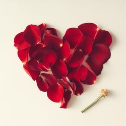Red rose petals in a heart shape on light background