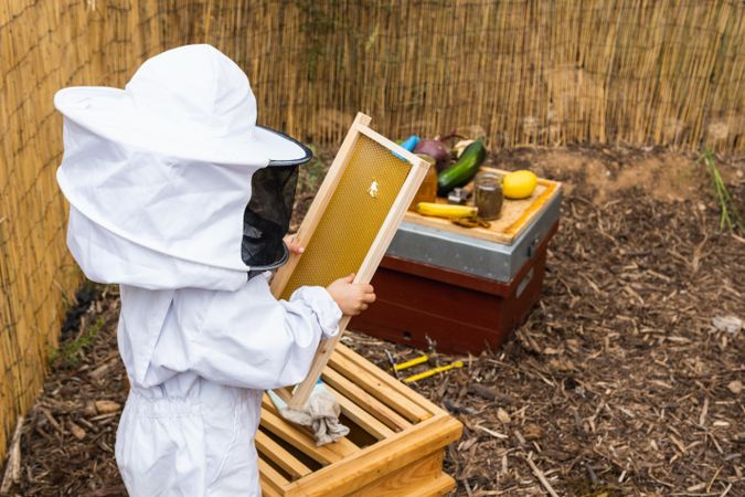 Child with honeycombs in apiary