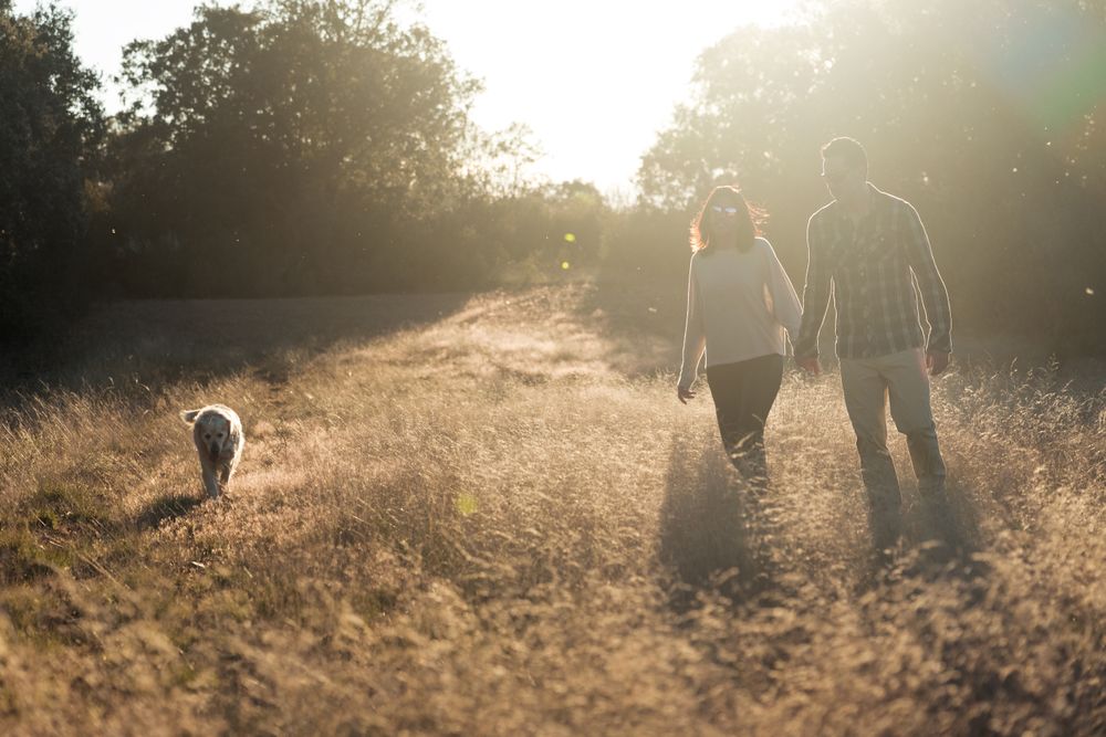 Couple with dog in countryside at sunset