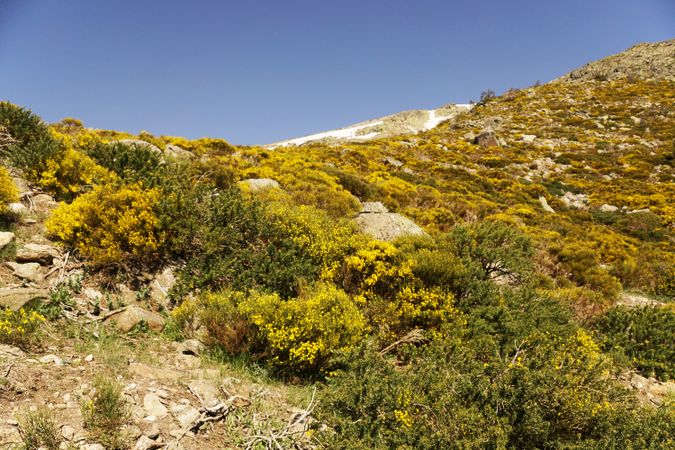 Picturesque landscape of green mountains in summer