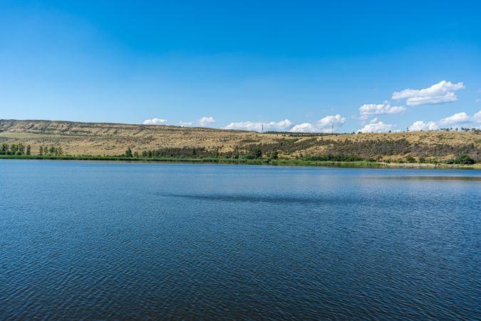 Lake landscape in summer