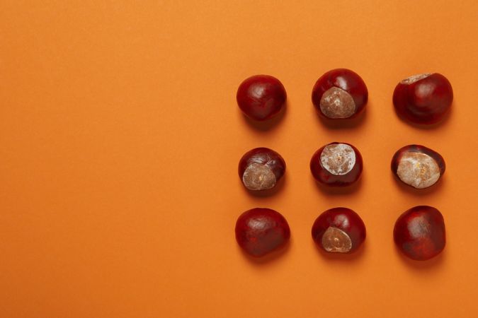 Fresh and ripe chestnuts, space for text