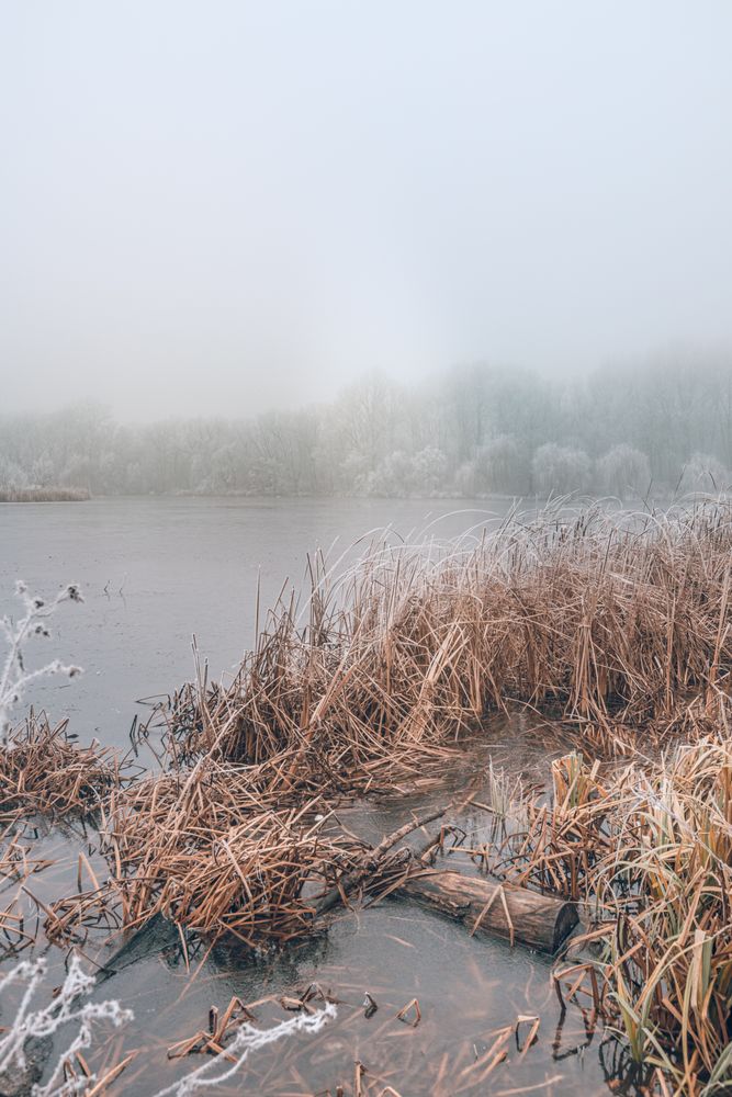Pond in the winter time