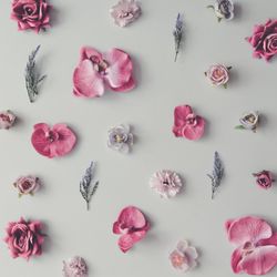 Pink and violet flowers on marble background