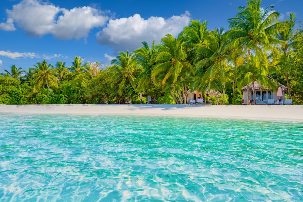View of a beach from brilliant blue water