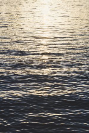 Waves on water surface and sunshine