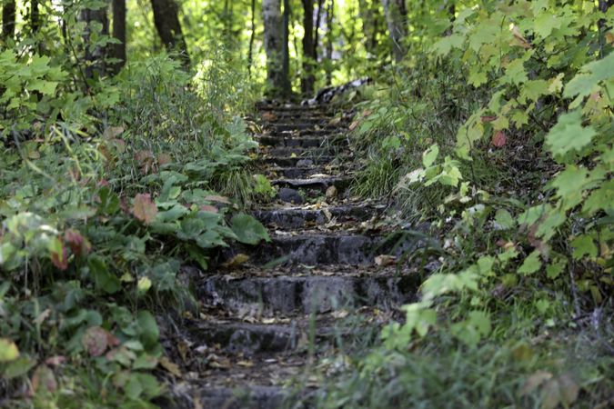 Stone stairs pathway at the Joyce Cabin at the Joyce Estate in Bovey, Minnesota