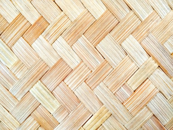 Bamboo Backgorund