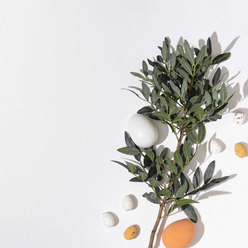 Different shades of natural eggs and green branches