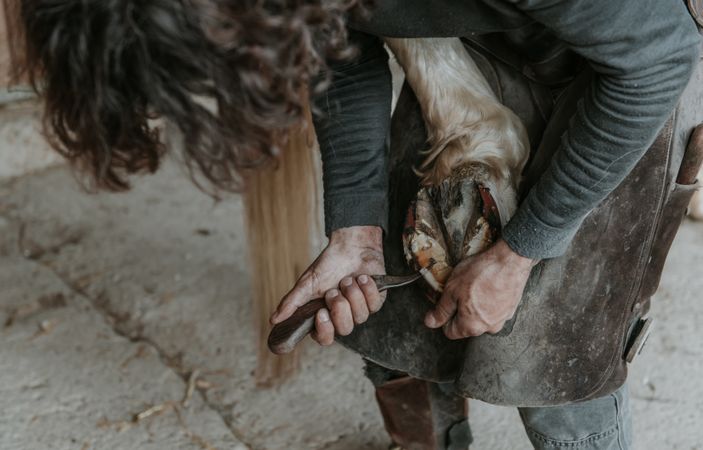 Crop farrier cleaning horse hoof