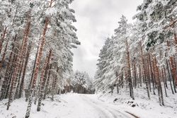 Winter snowy empty country road