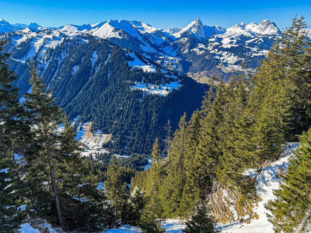 View of the Benese Alps from the top of the Wassengrat