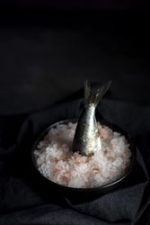 Tail of sardine in plate with salt
