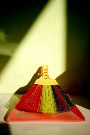 Dustpan with rainbow brush, vertical