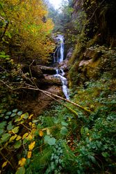 Small river and waterfall flowing in green dark beautiful forest.