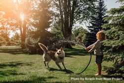 Boy playing with brown dog with hose in nature 0gQQe4
