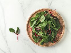 Fresh salad of green chard leaves or mangold