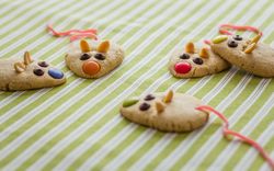 Cookies with mouse shaped and red licorice tail