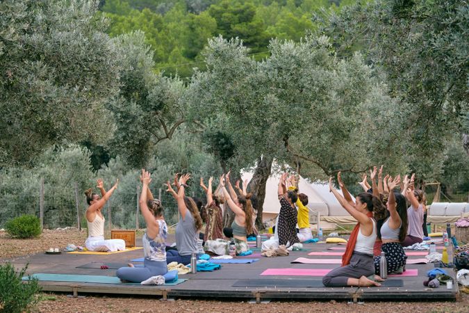 Group or women practicing yoga with raised arms in campsite