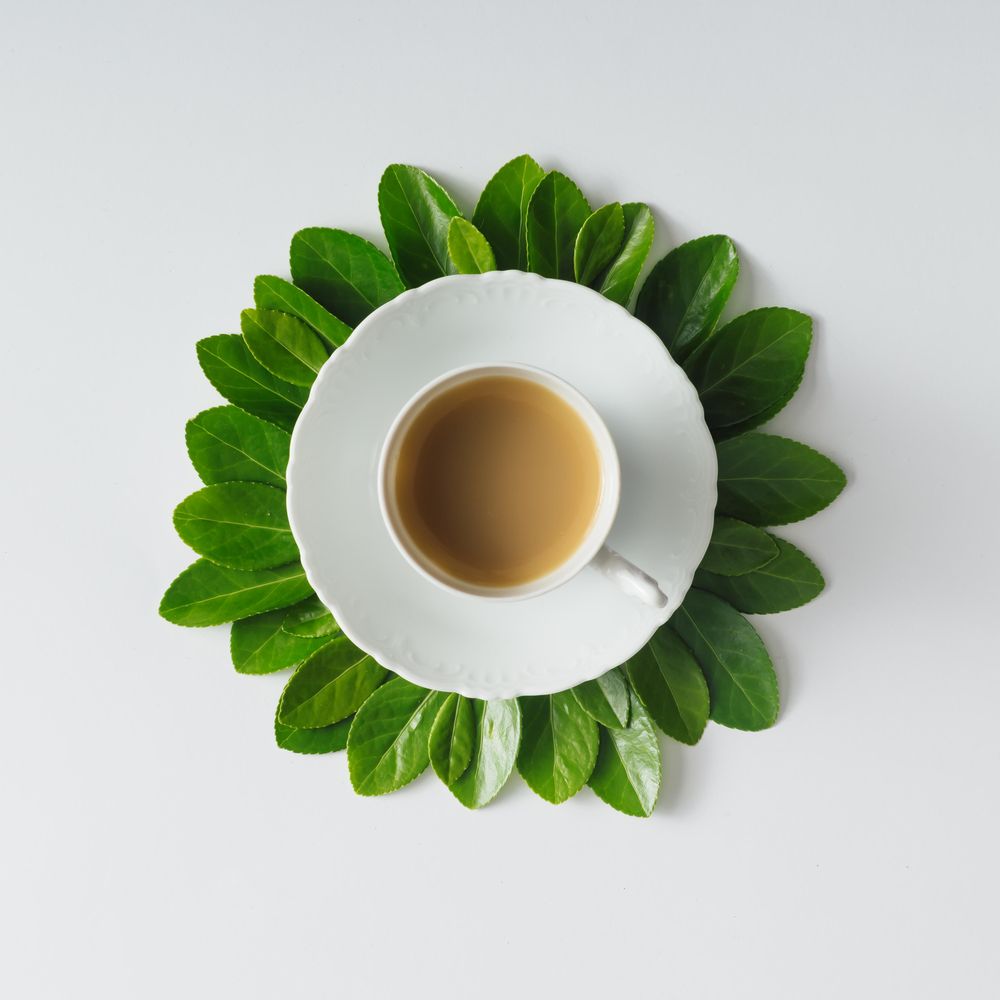 Morning coffee and green leaves in flower shape on light background