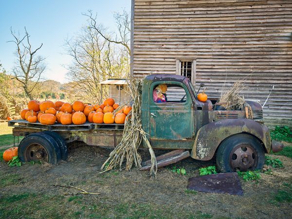 Flatbed truck loaded with pumpkins for sale, Valle Crucis, North Carolina