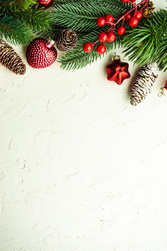Wintry pine branch and holly berries on top of vertical frame