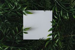Square of light paper immersed in densely packed leaves