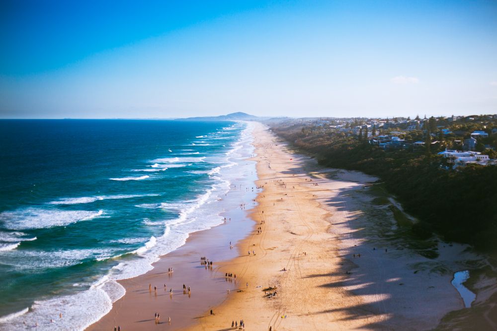 Aerial photo of people on seashore