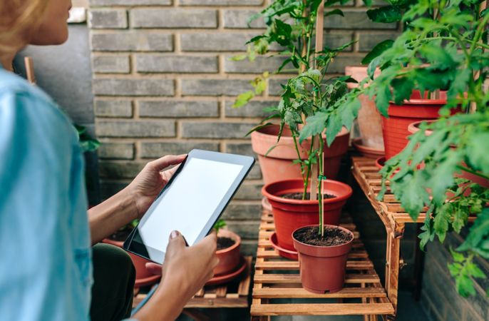 Woman using digital tablet while caring plants of urban garden on terrace