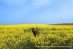 Woman holding her baby in yellow field 0Wp9r5