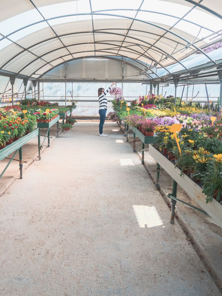 Female standing holding flowerpot in greenhouse