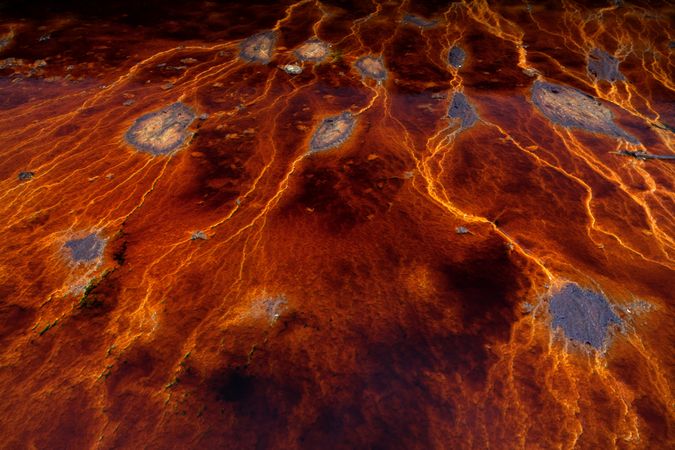 Bright orange splashes in nature