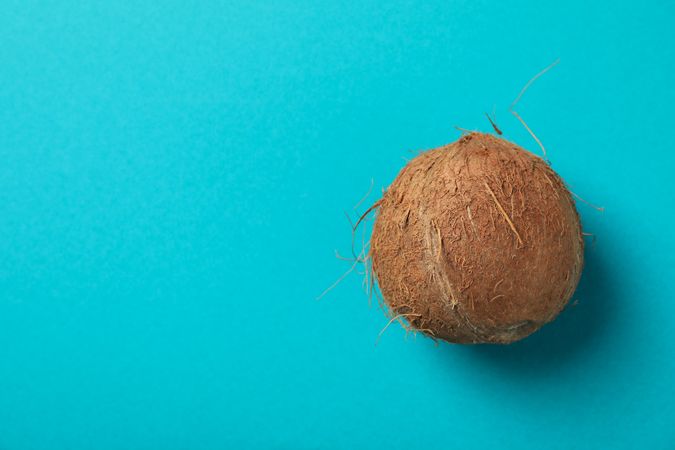 Whole coconut on blue background, top view