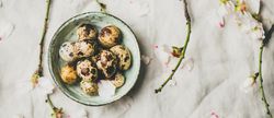 Quail eggs in bowl and blooming branches of almond tree, wide composition